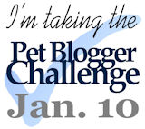 Pet Blogger Challenge Jan. 10