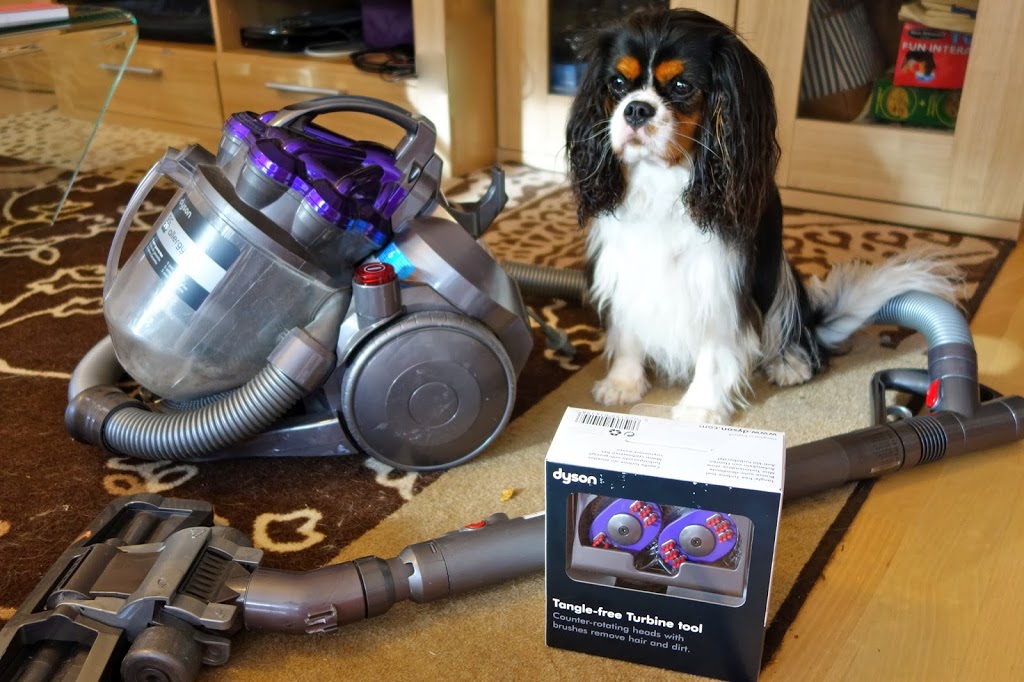 Revue] Brosse Démêlante de Dyson, Anti poil de chien ! - Baikasblog