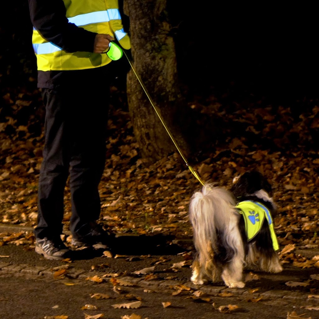 Laisse à enrouleur pour chien Flexi Style