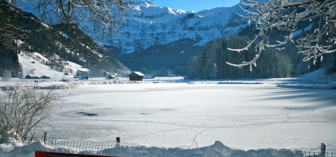 Baïka à la montagne