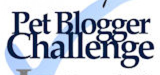 Pet Blogger Challenge