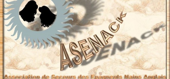 L’association ASENACK