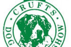 Crufts 2012