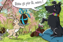 Sur les traces du lapin