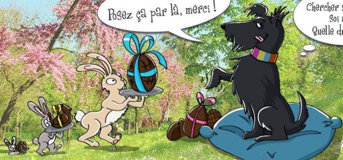 Sur les traces du lapin