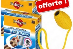 Concours DentaStix