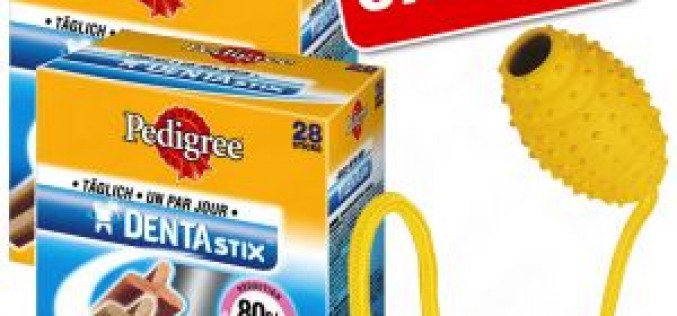 Concours DentaStix