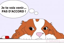 Donner un médicament au chien