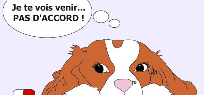 Donner un médicament au chien