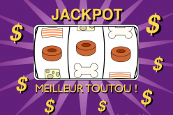 L’effet Jackpot