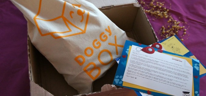 La Doggy Box d’octobre