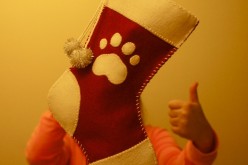 Chaussette de Noël pour chien