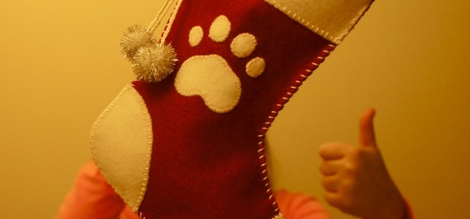 Chaussette de Noël pour chien