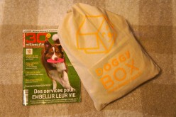 La Doggy Box de novembre