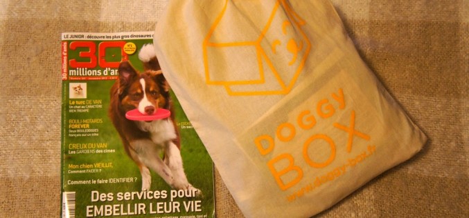 La Doggy Box de novembre