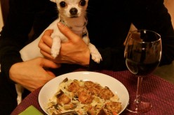 Recettes à partager avec son chien : Boulettes de viande