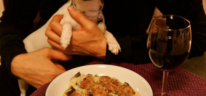 Recettes à partager avec son chien : Boulettes de viande