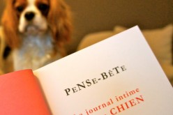 Pense-Bête, le journal intime de votre chien