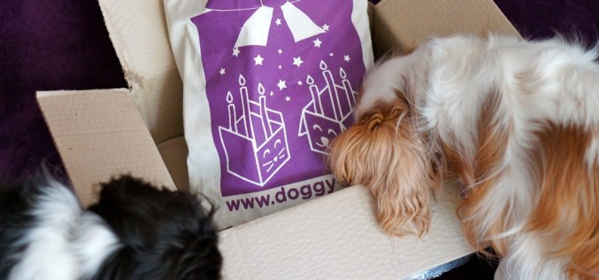 La Doggybox Anniversaire