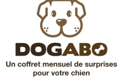 Dogabo : la box suisse pour votre chien