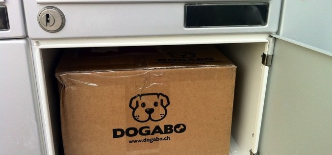 La première box Dogabo