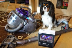 [Revue]  Brosse Démêlante de Dyson, Anti poil de chien !