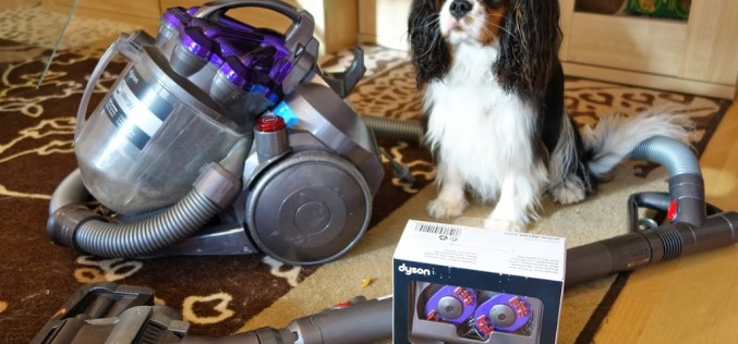 [Revue]  Brosse Démêlante de Dyson, Anti poil de chien !