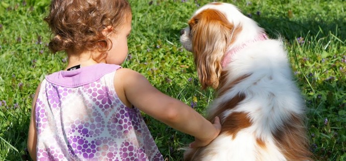 Nos 10 commandements sécurité chien et enfant