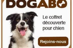 Dogabo du mois de mai, le retour !