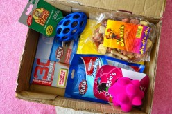 La Woufbox de juillet « Summer box »