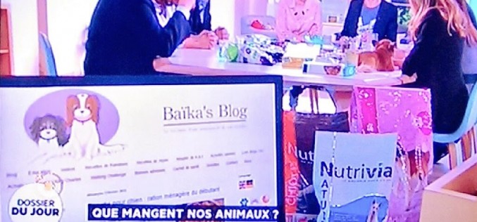 La Quotidienne parle de nourriture pour animaux – France5