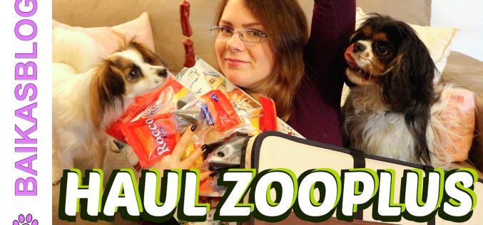 Haul Canin – Commande de friandises et niches pliables sur Zooplus