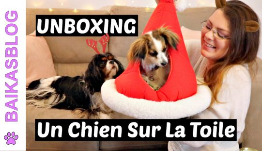 UNBOXING – Colis de la boutique un Chien Sur La Toile | Déballage d’articles et jouets pour chien