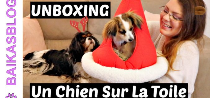 UNBOXING – Colis de la boutique un Chien Sur La Toile | Déballage d’articles et jouets pour chien