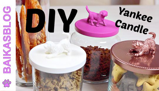 DIY Pots à friandises pour chien – Recyclage de Pots à Bougies Yankee Candle