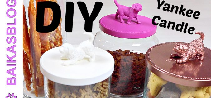 DIY Pots à friandises pour chien – Recyclage de Pots à Bougies Yankee Candle