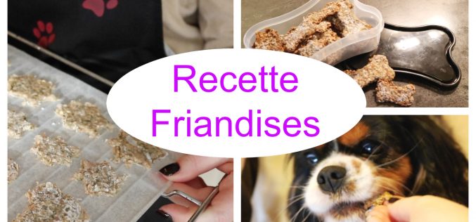 Recette pour chien – Biscuits Poulet Avoine | Recette facile de friandises pour chien