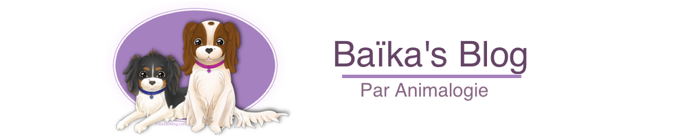 Baikasblog